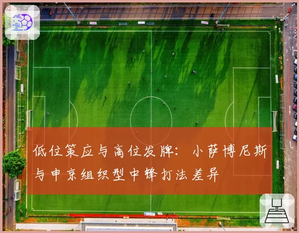 低位策应与高位发牌：小萨博尼斯与申京组织型中锋打法差异