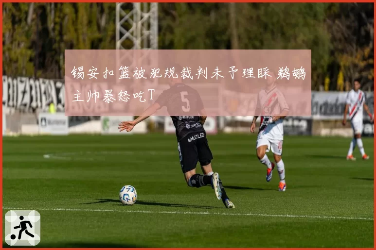 锡安扣篮被犯规裁判未予理睬 鹈鹕主帅暴怒吃T