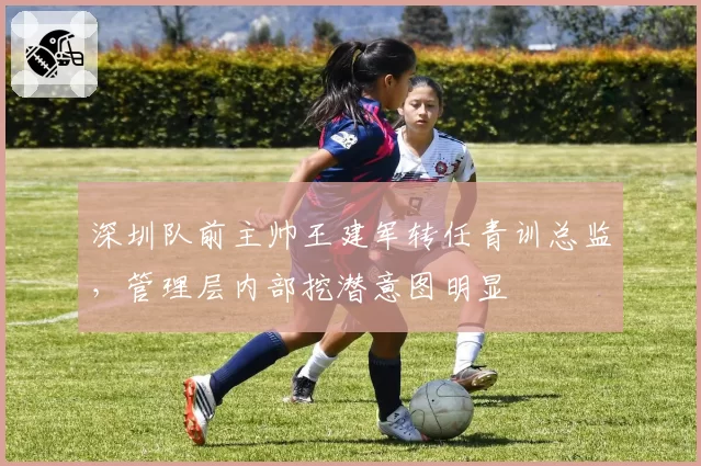 深圳队前主帅王建军转任青训总监，管理层内部挖潜意图明显