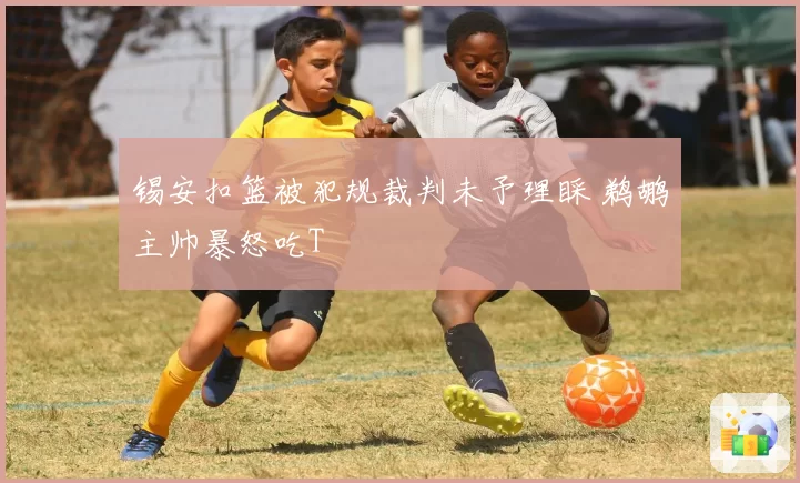 锡安扣篮被犯规裁判未予理睬 鹈鹕主帅暴怒吃T